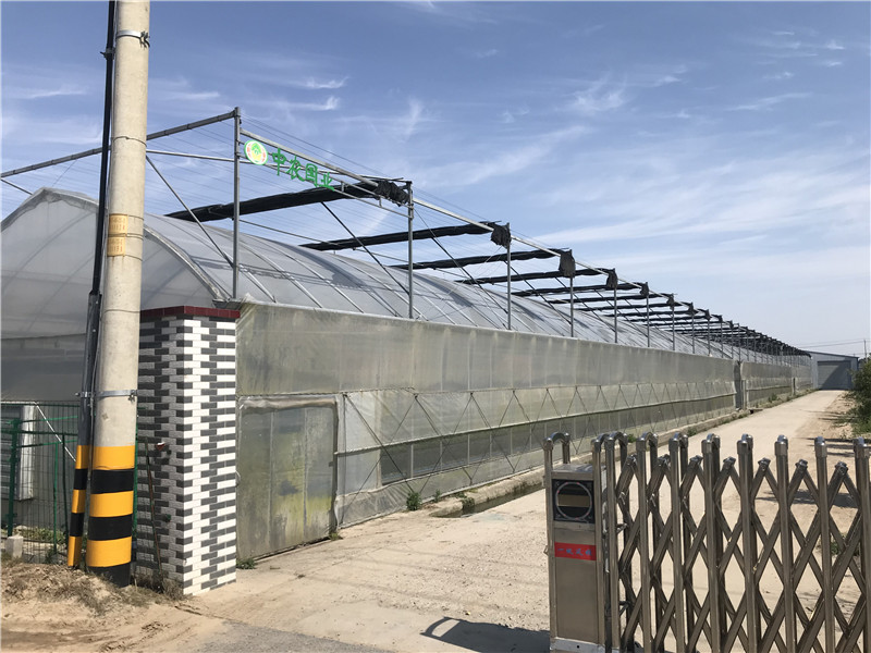 茄子APP下载最新版基地