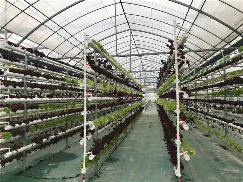 立体茄子APP下载最新版